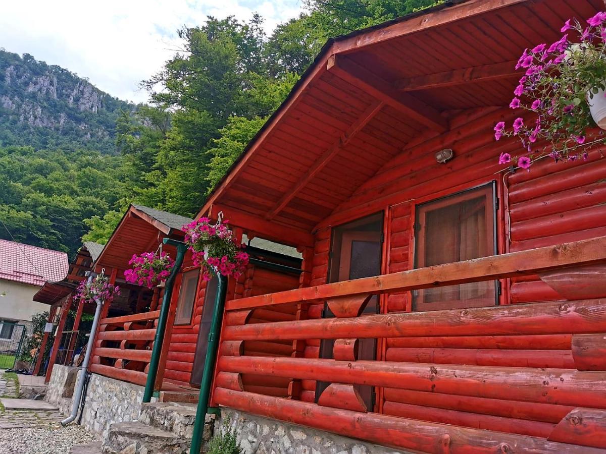 Вилла Casa Beasarah. Дубова Экстерьер фото